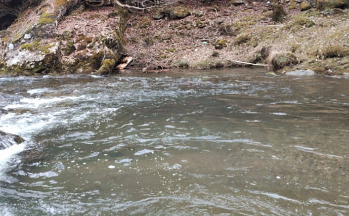 「アマゴの聖地で爆釣を満喫！」天川村での渓流エサ釣りで本命34匹手中