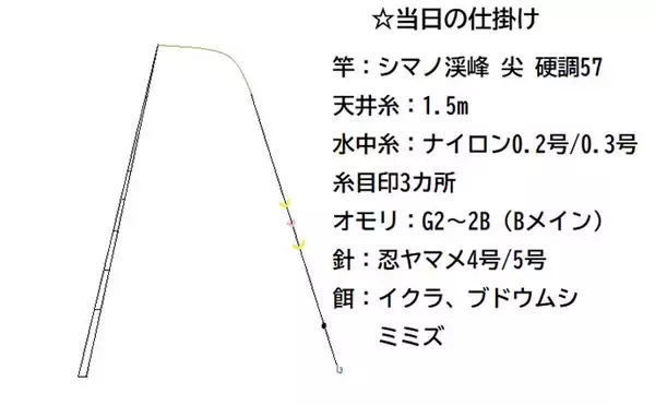 「「アマゴの聖地で爆釣を満喫！」天川村での渓流エサ釣りで本命34匹手中」の画像