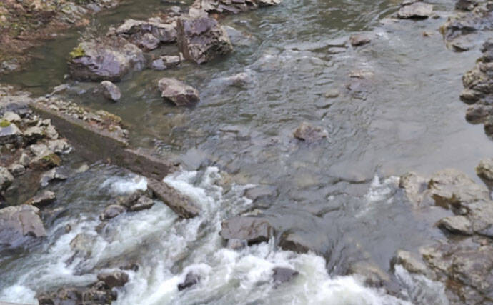 「アマゴの聖地で爆釣を満喫！」天川村での渓流エサ釣りで本命34匹手中