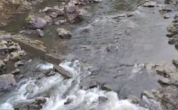 「「アマゴの聖地で爆釣を満喫！」天川村での渓流エサ釣りで本命34匹手中」の画像