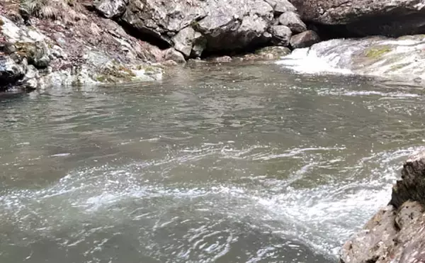 「「アマゴの聖地で爆釣を満喫！」天川村での渓流エサ釣りで本命34匹手中」の画像