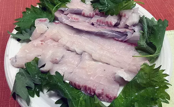 「初めての天秤タチウオ釣りで本命8尾【神奈川・小川丸】メーター級手中に満足」の画像