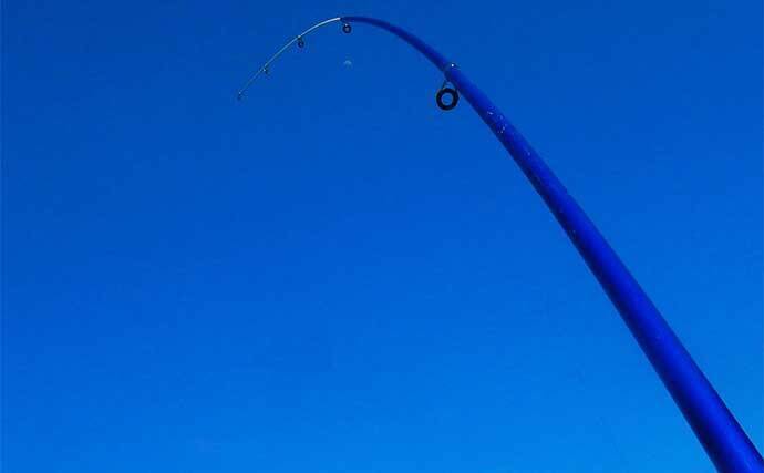 葉っぱをエサにして116cmソウギョをキャッチ【埼玉】アシ（葦）の葉にヒット