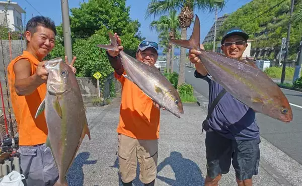 「「中深海五目＆泳がせで大物狙い！」八丈島遠征釣行で良型オナガダイや17kgヒラマサを手中【東京】」の画像