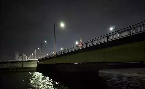 「「仕事帰りの1時間勝負！」衣浦港の橋脚シーバスゲームで2連発【愛知】」の画像