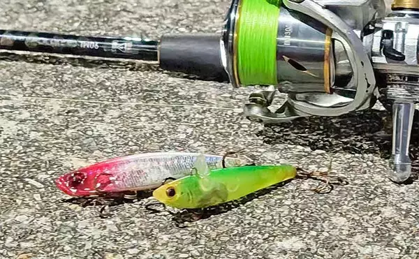 「「仕事帰りの1時間勝負！」衣浦港の橋脚シーバスゲームで2連発【愛知】」の画像