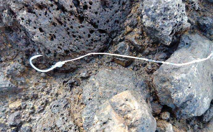 「これぞ最強タッグ！？」潜水＆釣りで魚を狙い撃ちしてみた　ムツ連打に成功