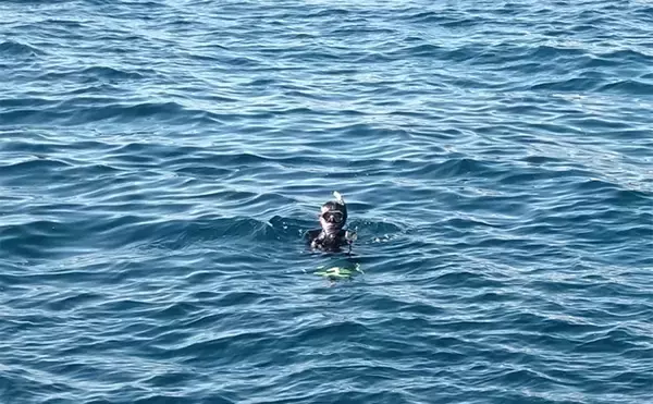 「「これぞ最強タッグ！？」潜水＆釣りで魚を狙い撃ちしてみた　ムツ連打に成功」の画像