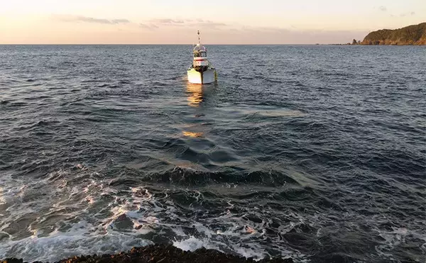 「「これぞ最強タッグ！？」潜水＆釣りで魚を狙い撃ちしてみた　ムツ連打に成功」の画像