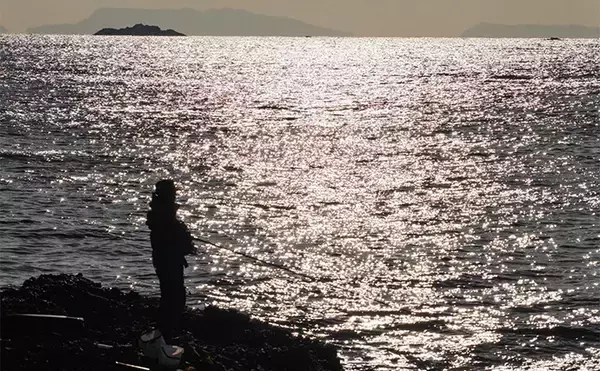 「「これぞ最強タッグ！？」潜水＆釣りで魚を狙い撃ちしてみた　ムツ連打に成功」の画像