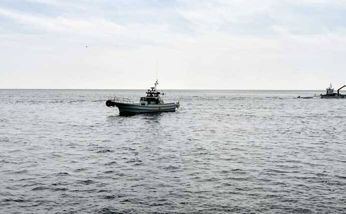 「クロ（メジナ）が入れ食い！」磯フカセ釣りで良型乱舞【大分・蒲江の磯】