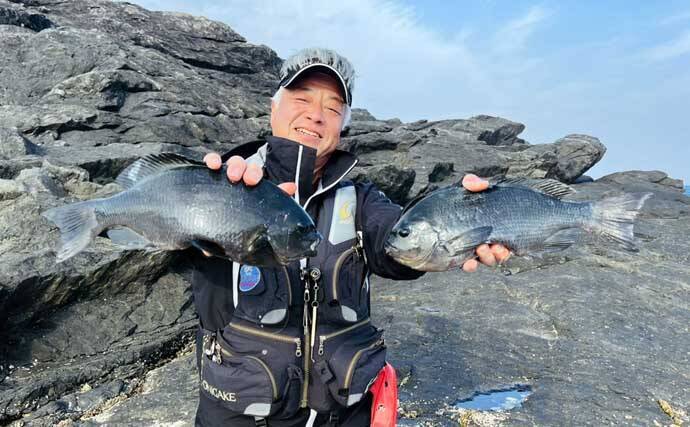 「クロ（メジナ）が入れ食い！」磯フカセ釣りで良型乱舞【大分・蒲江の磯】