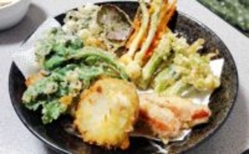 「釣魚より家族に喜ばれるかも？」渓流釣り場で採れる野草3選【ヨモギ・ユキノシタ・わらび】