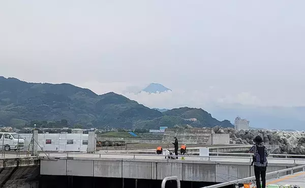 「今年オープンの『清水港海づり公園』を徹底解説　釣れる魚・ルール・アクセス・持ち物まとめ」の画像