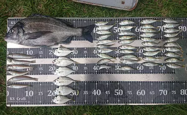 「今年オープンの『清水港海づり公園』を徹底解説　釣れる魚・ルール・アクセス・持ち物まとめ」の画像