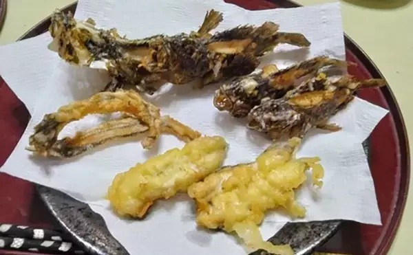 「日本最古の人工島は根魚パラダイスだった【和賀江島・鎌倉】穴釣りでギンポを狙う！」の画像