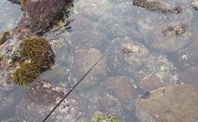 日本最古の人工島は根魚パラダイスだった【和賀江島・鎌倉】穴釣りでギンポを狙う！