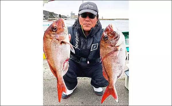 「新潟沖ディープタイラバ釣行で良型主体に船中45枚【なかくに丸】強アピールが的中」の画像