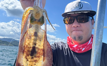 「秋はステップアップに最適！」ティップランエギングの多彩なアタリの種類とアワセ方