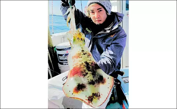 「日本海タイラバ＆ティップラン豪華リレー釣りを満喫【新潟】良型マダイに大型アオリイカが浮上！」の画像