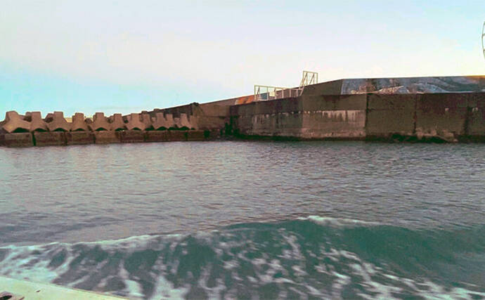 日本海タイラバ＆ティップラン豪華リレー釣りを満喫【新潟】良型マダイに大型アオリイカが浮上！