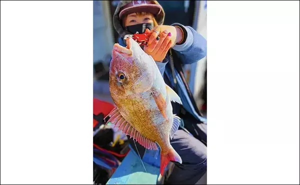 「日本海タイラバ＆ティップラン豪華リレー釣りを満喫【新潟】良型マダイに大型アオリイカが浮上！」の画像