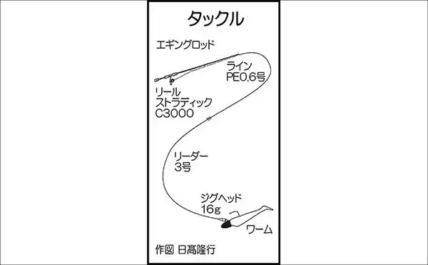 「エギングでアオリ1.3kgキロアップ浮上！【熊本・天草】ルアーゲームで50cm級シーバス＆サゴシ4尾も手中」の画像