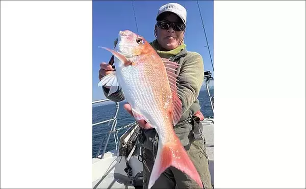 「【沖釣り釣果速報】テンヤタチウオで良型主体にドラゴン級も浮上！冬の好況続く（大分・熊本）」の画像