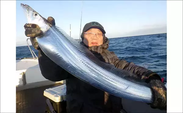 「【沖釣り釣果速報】テンヤタチウオで良型主体にドラゴン級も浮上！冬の好況続く（大分・熊本）」の画像