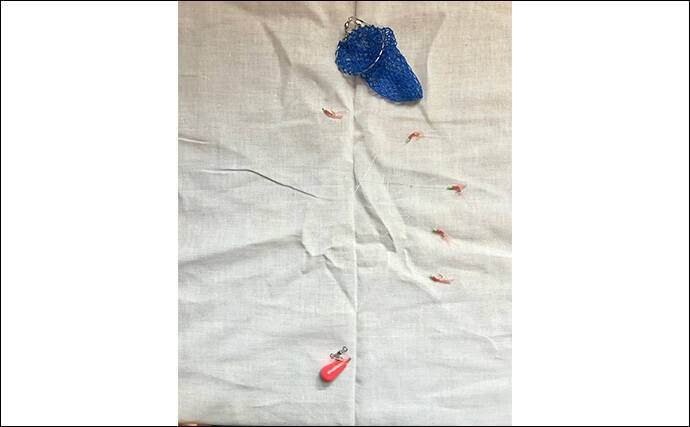 初めてでも確実に楽しめるオススメの釣り3選　【サビキ・ちょい投げ・穴釣り】