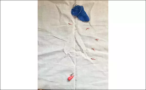 「初めてでも確実に楽しめるオススメの釣り3選　【サビキ・ちょい投げ・穴釣り】」の画像