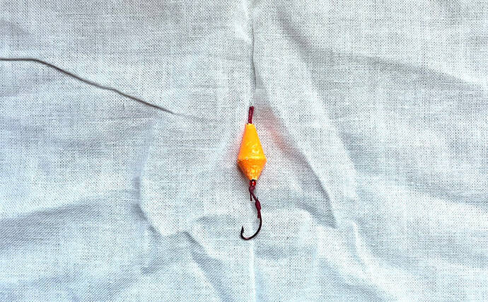 初めてでも確実に楽しめるオススメの釣り3選　【サビキ・ちょい投げ・穴釣り】