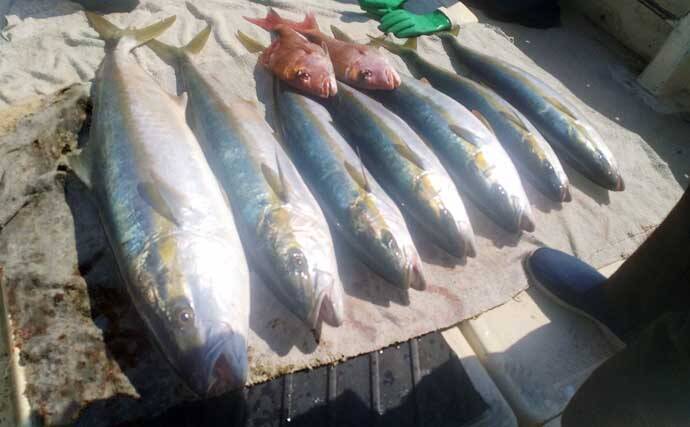 「イカ流し釣り」で10kgヒラマサが浮上！【船釣り最新情報4選・長崎／佐賀】