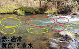 「「ズバリ爆釣のチャンス！」渓流釣りにおける【引き水】の見極め方を徹底解説」の画像6