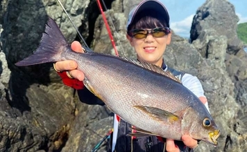 磯釣りでアカハタ・イサキ・クロ・ハマチと多彩な釣果に大満足！【深島の磯・大分】