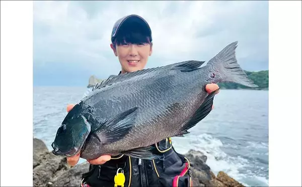 「磯釣りでアカハタ・イサキ・クロ・ハマチと多彩な釣果に大満足！【深島の磯・大分】」の画像