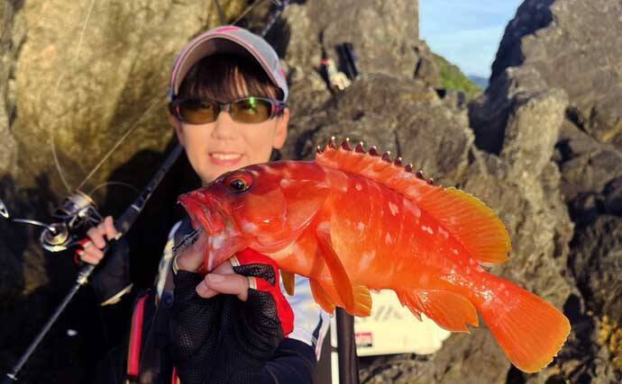 磯釣りでアカハタ・イサキ・クロ・ハマチと多彩な釣果に大満足！【深島の磯・大分】