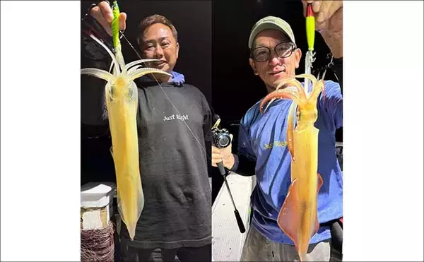 「連日イカ100尾前後と釣果安定！入門にも絶好のタイミングか【夜焚きイカ釣果速報20選・福岡】」の画像