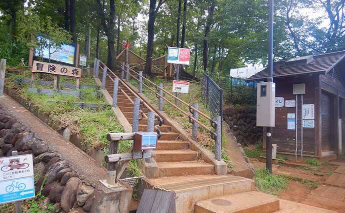 埼玉県 子連れ釣りレジャーおすすめ公園 大宮第二公園 野山北公園 22年8月7日 エキサイトニュース