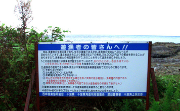 磯での生き物採集の【ルール・マナー・安全対策】を徹底解説　海藻には要注意？