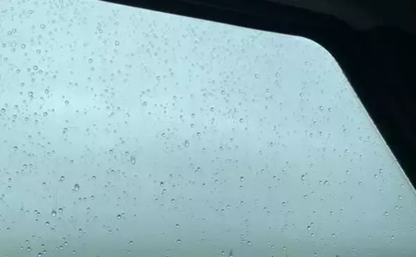 「磯での生き物採集の【ルール・マナー・安全対策】を徹底解説　海藻には要注意？」の画像