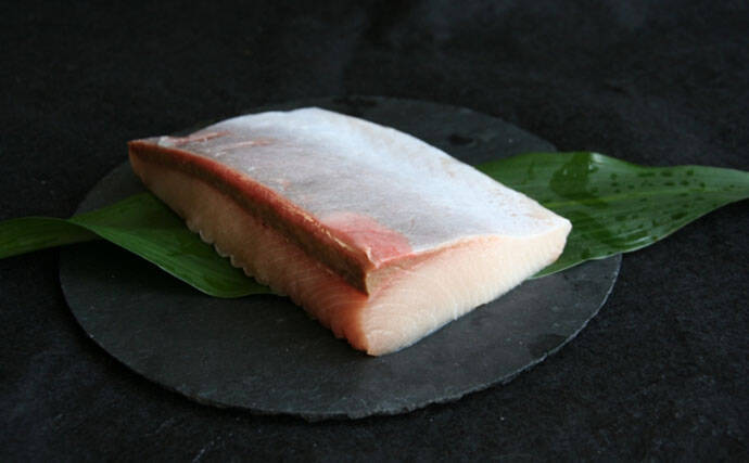 養殖技術の救世主！　大分県の「かぼすブリ」が克服した養殖魚の弱点とは？