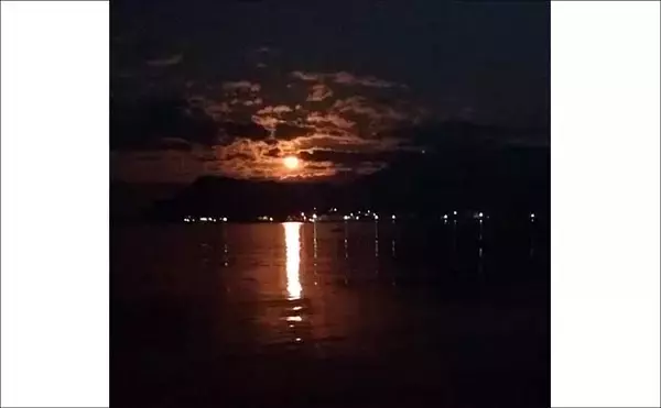 「堤防での遠投カゴ釣りで35cm級イサキをキャッチ！　ゲストにマダイとアイゴ」の画像