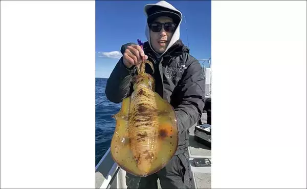 「【沖のルアー釣果速報】ジギングで6.7kg級を頭に極太サワラ乱舞！青物交じりで高活性続く（三重）」の画像