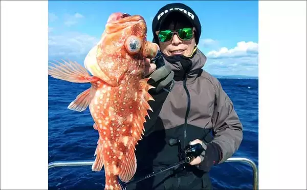 「【沖のルアー釣果速報】ジギングで6.7kg級を頭に極太サワラ乱舞！青物交じりで高活性続く（三重）」の画像