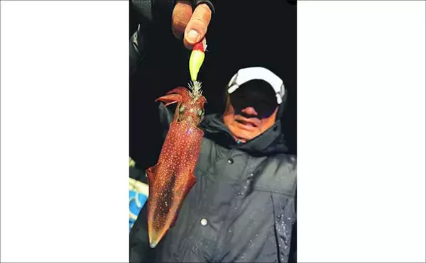 「【沖のルアー釣果速報】ジギングで6.7kg級を頭に極太サワラ乱舞！青物交じりで高活性続く（三重）」の画像