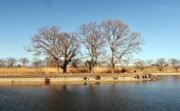 今週のヘラブナ推薦釣り場2026【群馬県・群馬の水郷】