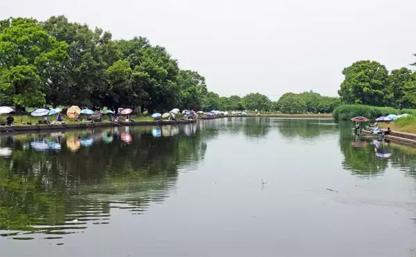 「今週のヘラブナ推薦釣り場2026【群馬県・群馬の水郷】」の画像