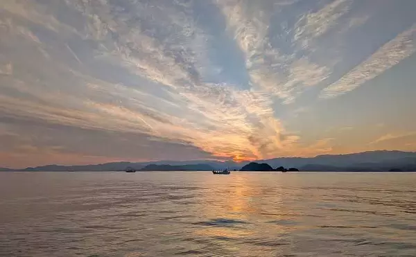 「「ツツイカ3種そろい踏み！」イカメタルゲームでヤリイカ・アカイカ・スルメイカ手中【三重・錦沖】」の画像