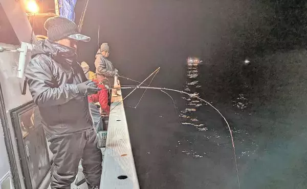 「「ツツイカ3種そろい踏み！」イカメタルゲームでヤリイカ・アカイカ・スルメイカ手中【三重・錦沖】」の画像